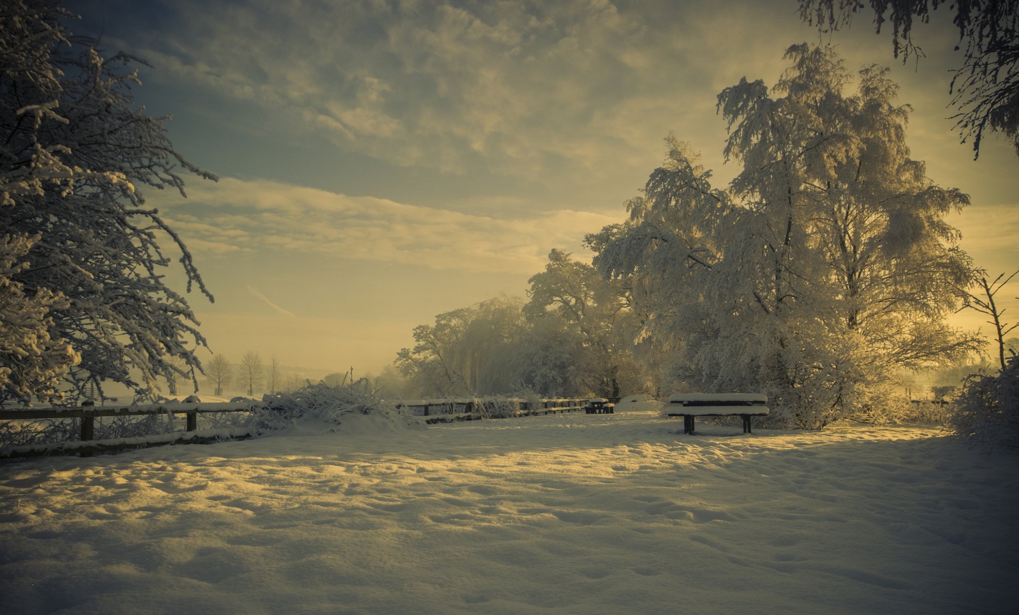 nature winter park shop snow