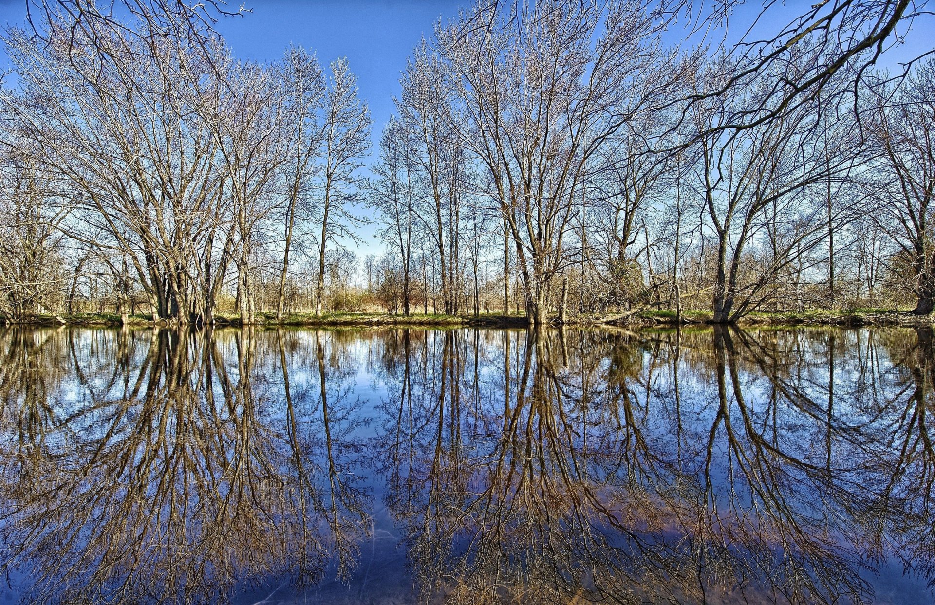 lago estanque reflexión bosque árboles ramas hierba cielo nubes