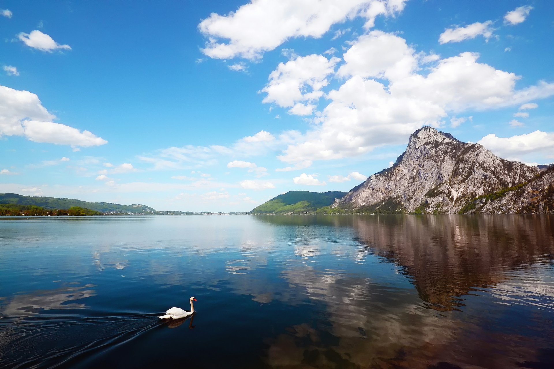 montagne fiume cigno