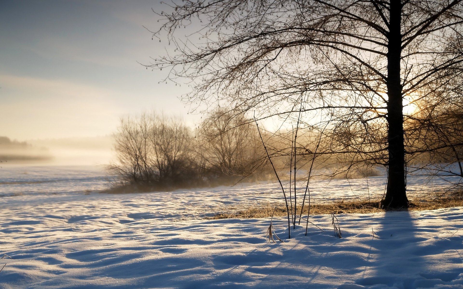 winter winter dunst dampf verdunstung morgen sonne sonnenaufgang himmel baum büsche kalt frost schnee funkelt schatten gras