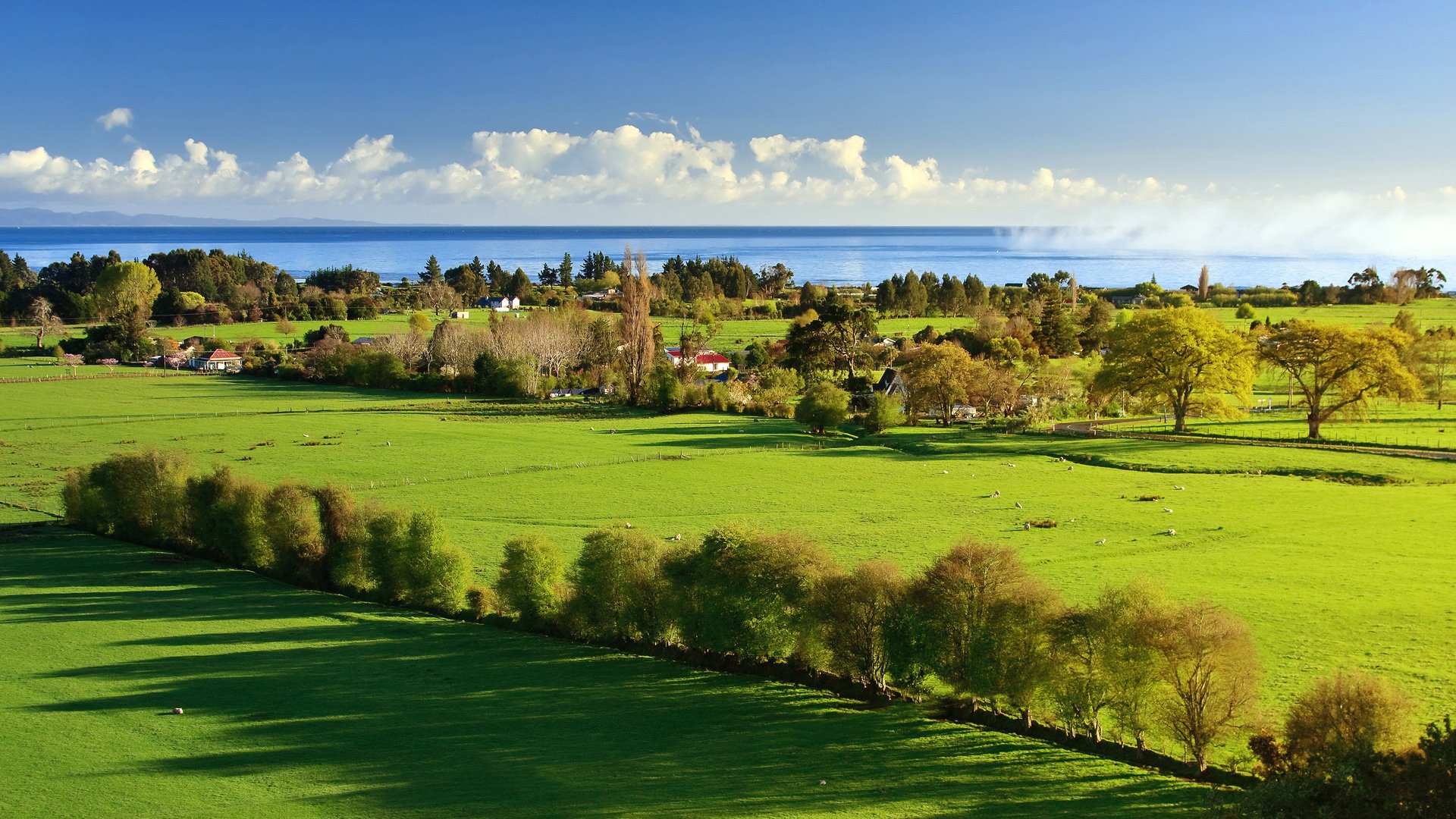 natur landschaft grün bäume gras schatten licht häuser himmel wolken meer wasser 1920x1080