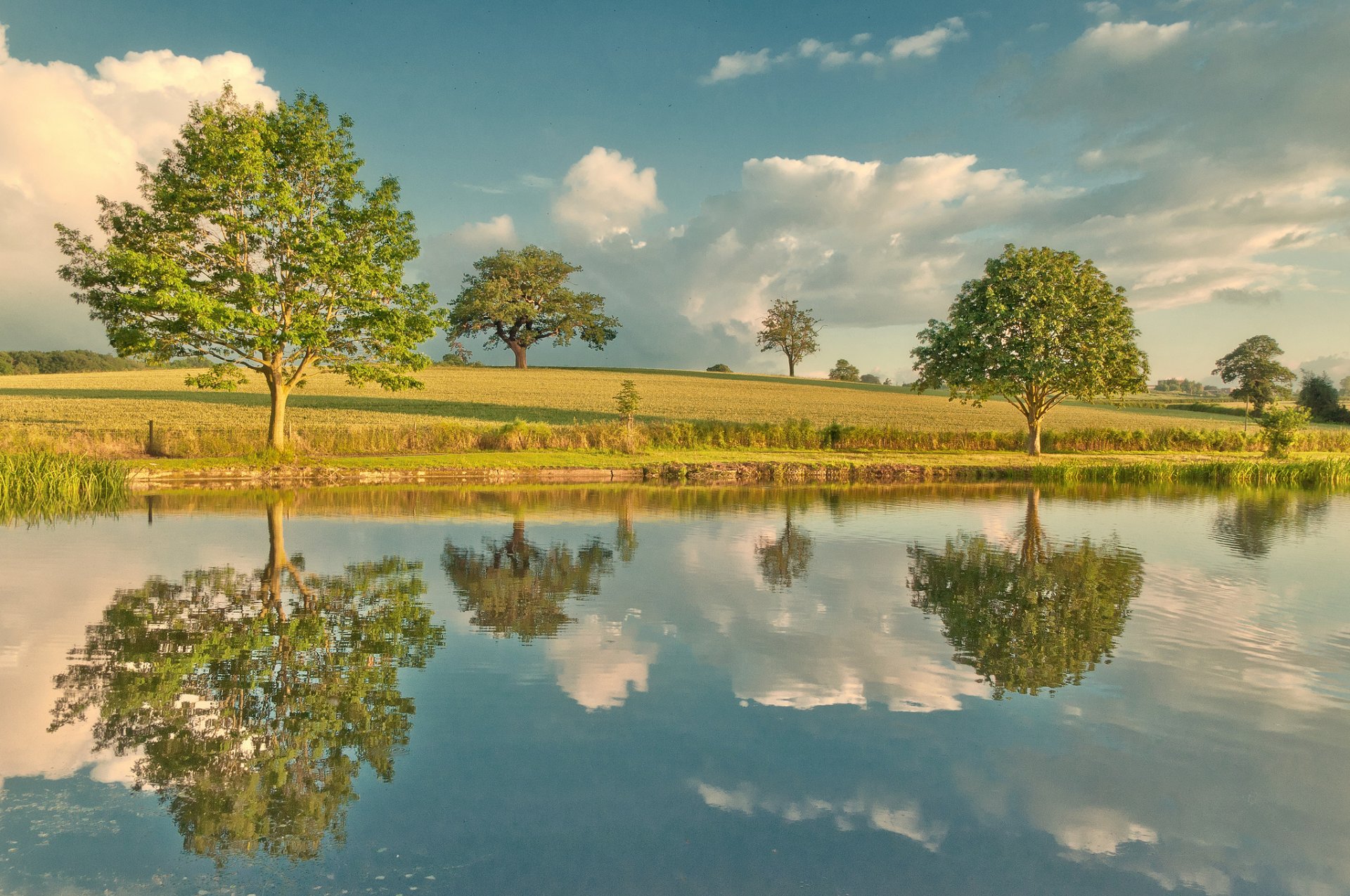 natura fiume cielo alberi riflessione