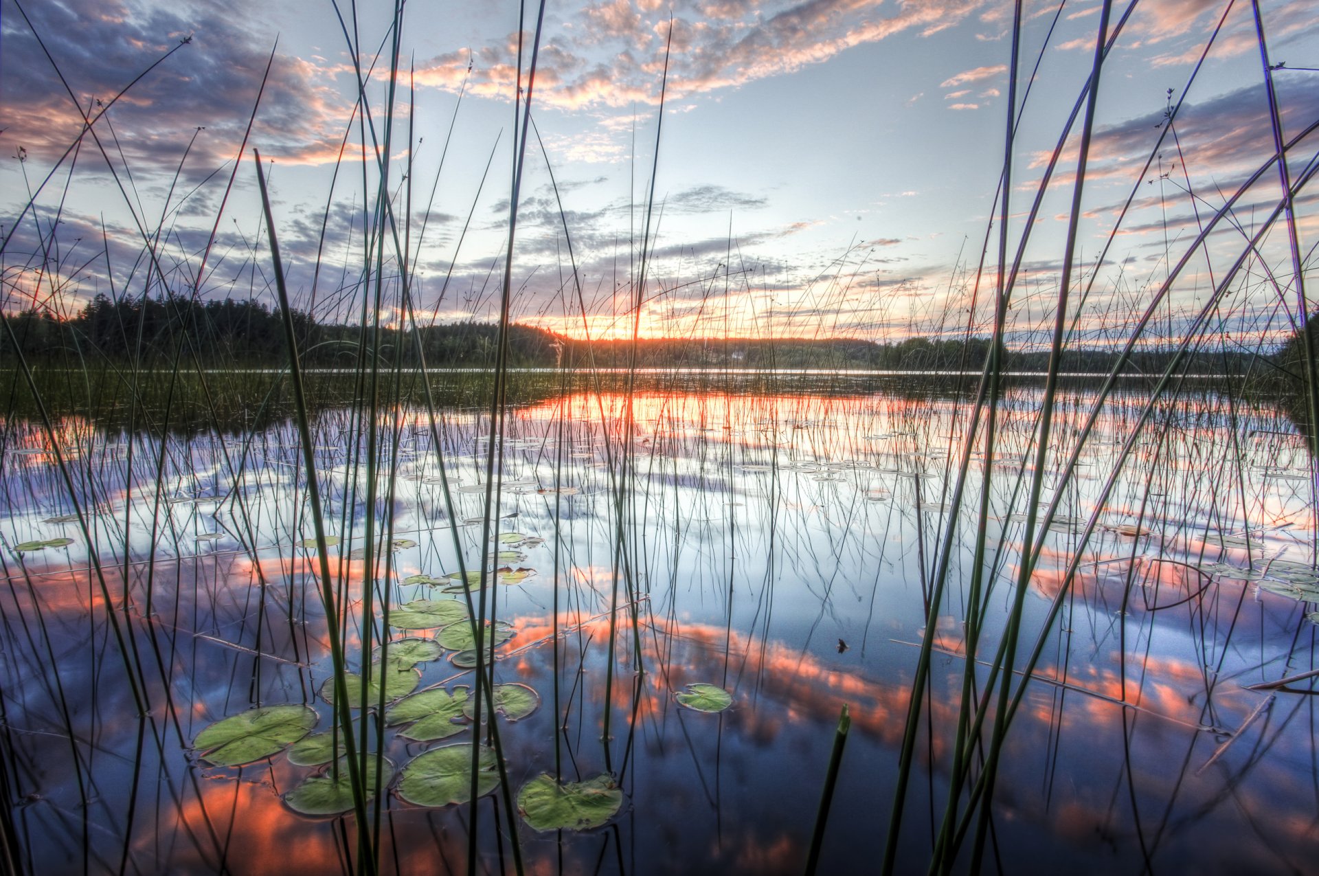 natur see kamisch reflexion himmel