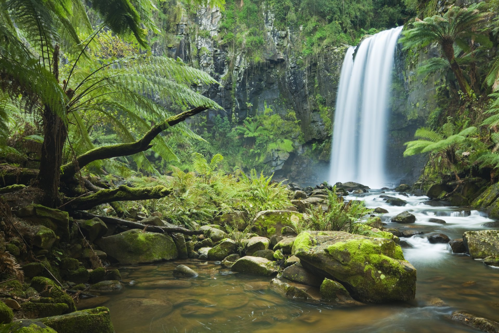 cascada árboles río bosque roca piedras