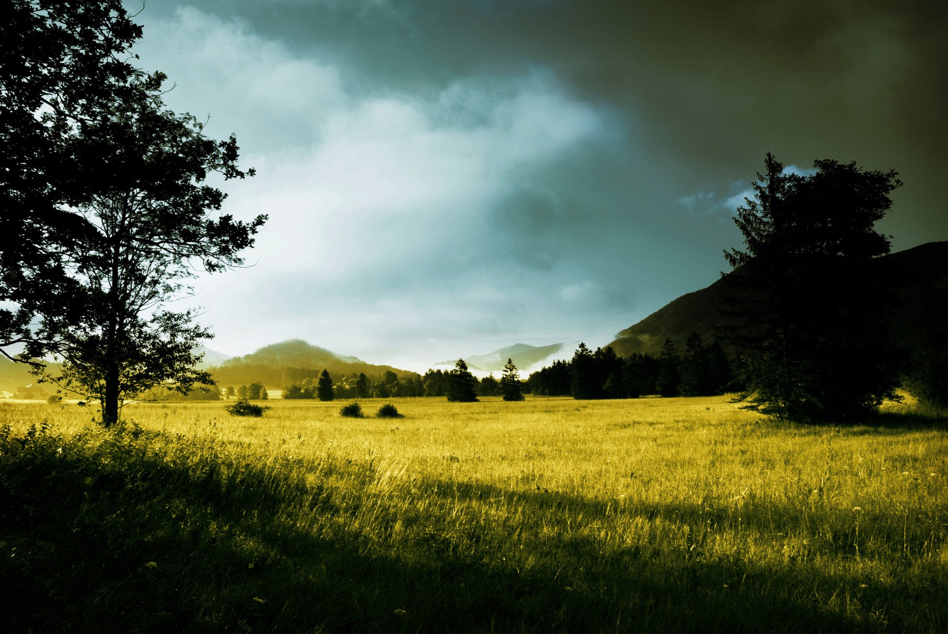 mattina alberi raggi di sole alba colline erba