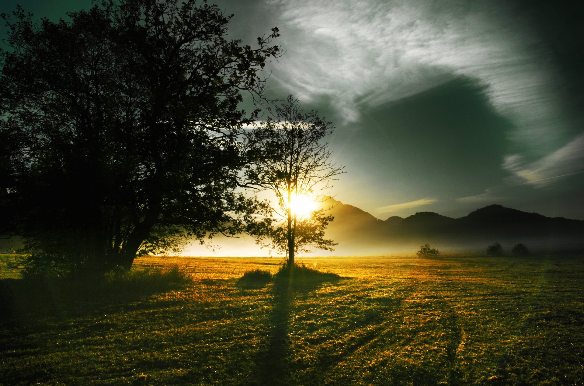 sonnenstrahlen sonne bäume hügel nebel morgen fokus