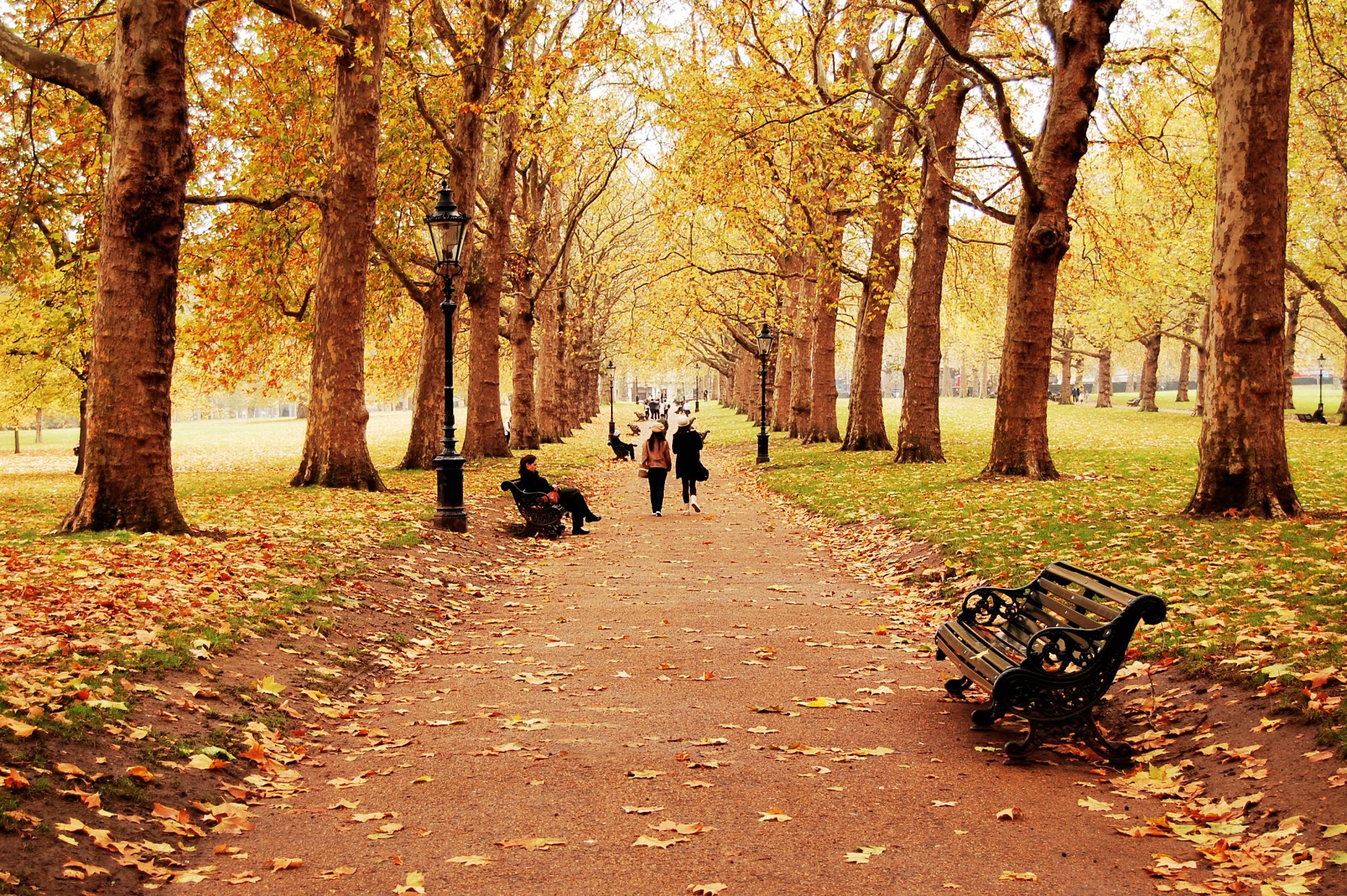 nature paysage automne saison arbres feuilles chute des feuilles banc personnes homme enfants gars fille passerelle sentier marche