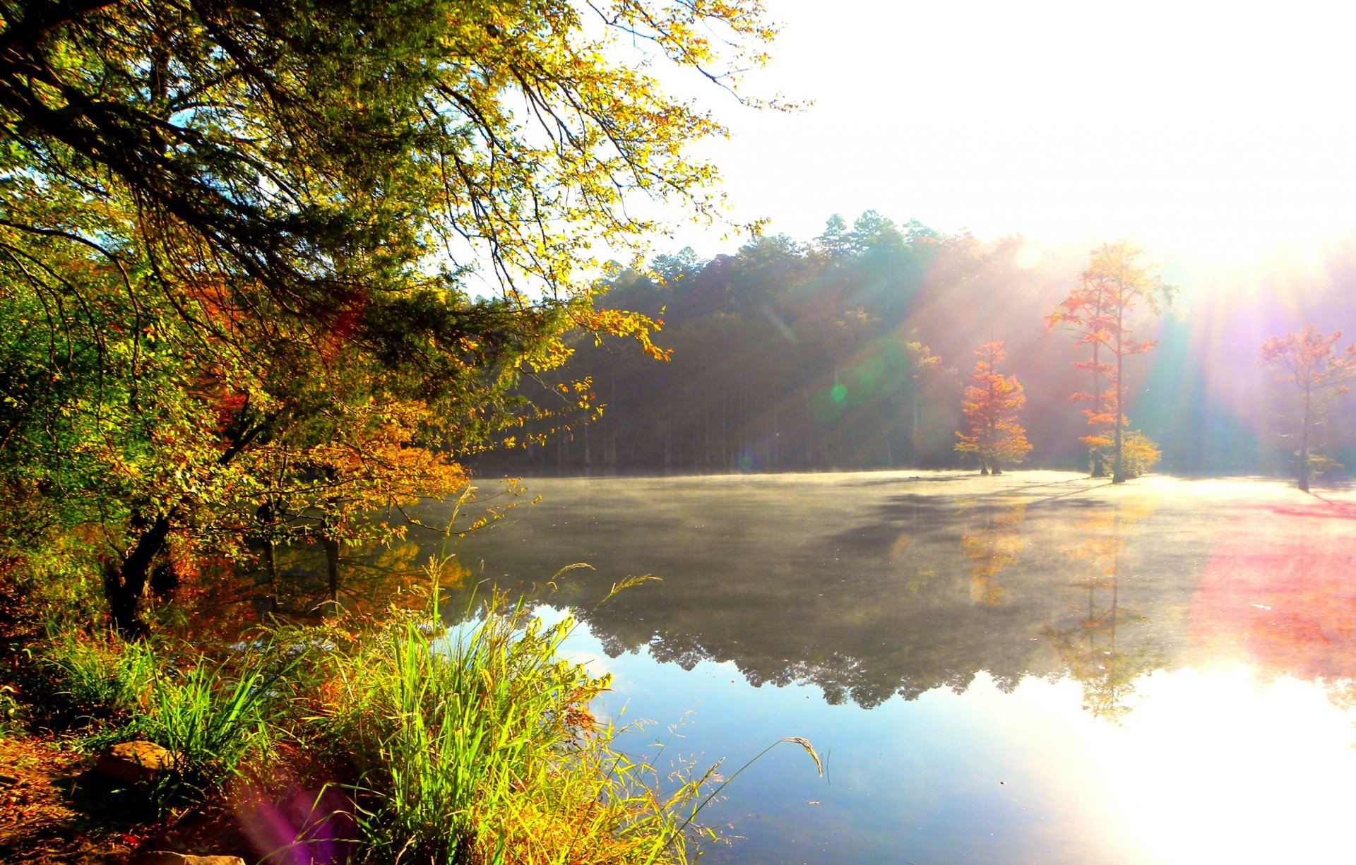 fluss ufer wald dunst morgen sonne strahlen natur