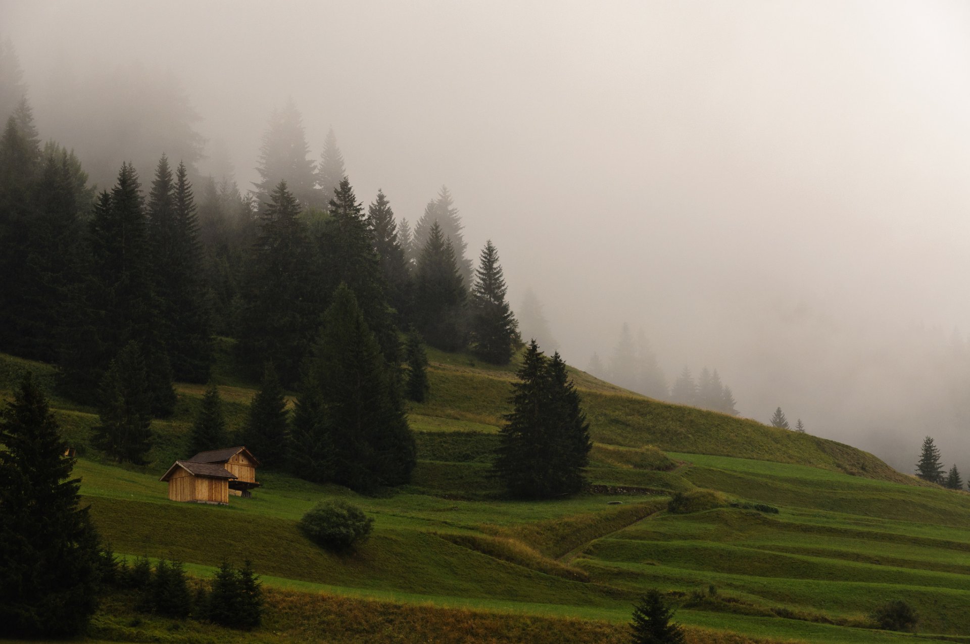 naturaleza mañana niebla montañas hierba bosque cabañas