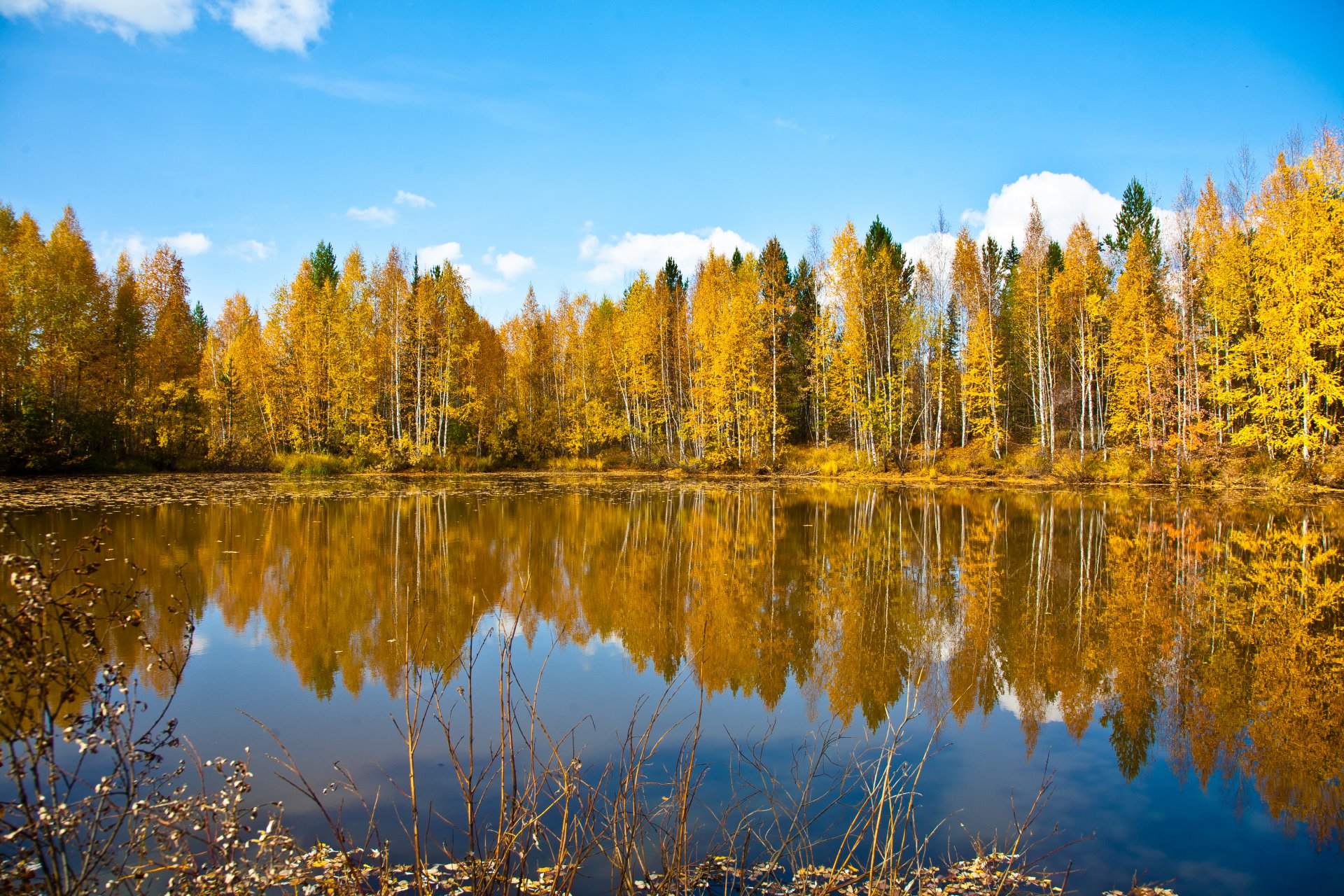 nature autumn forest sky lake