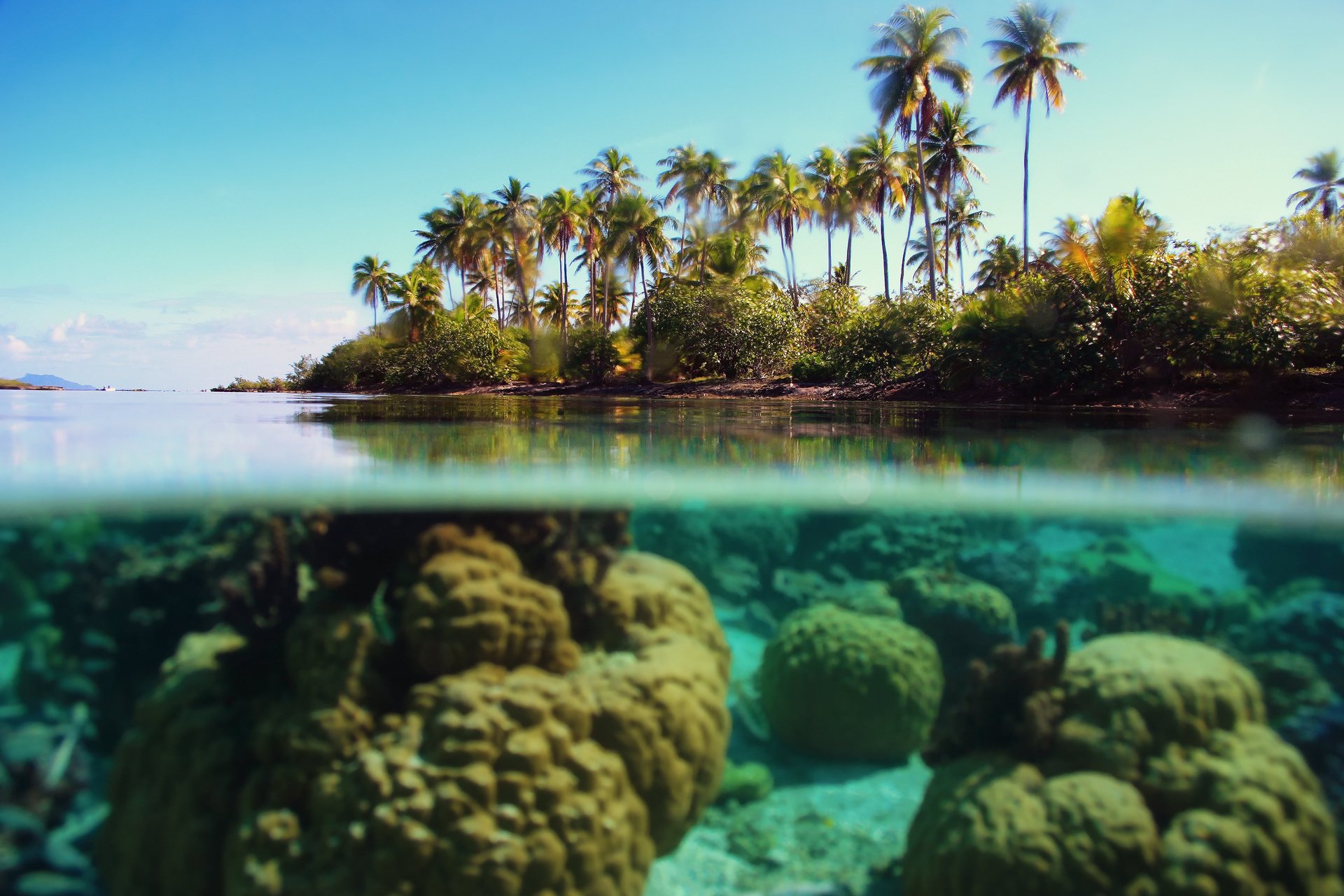 natur meer ozean über wasser unter wasser palmen himmel