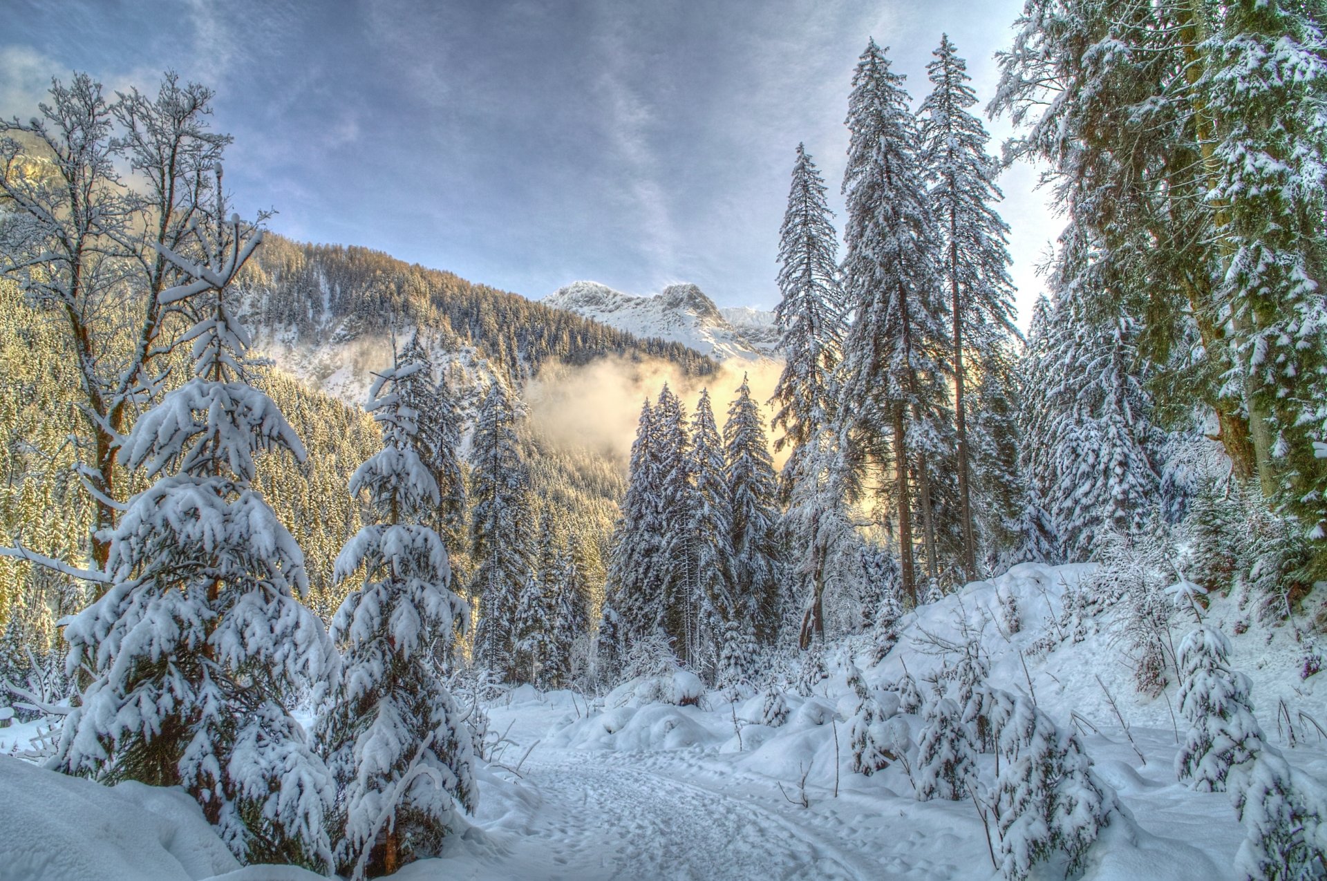 naturaleza invierno montañas bosque nieve