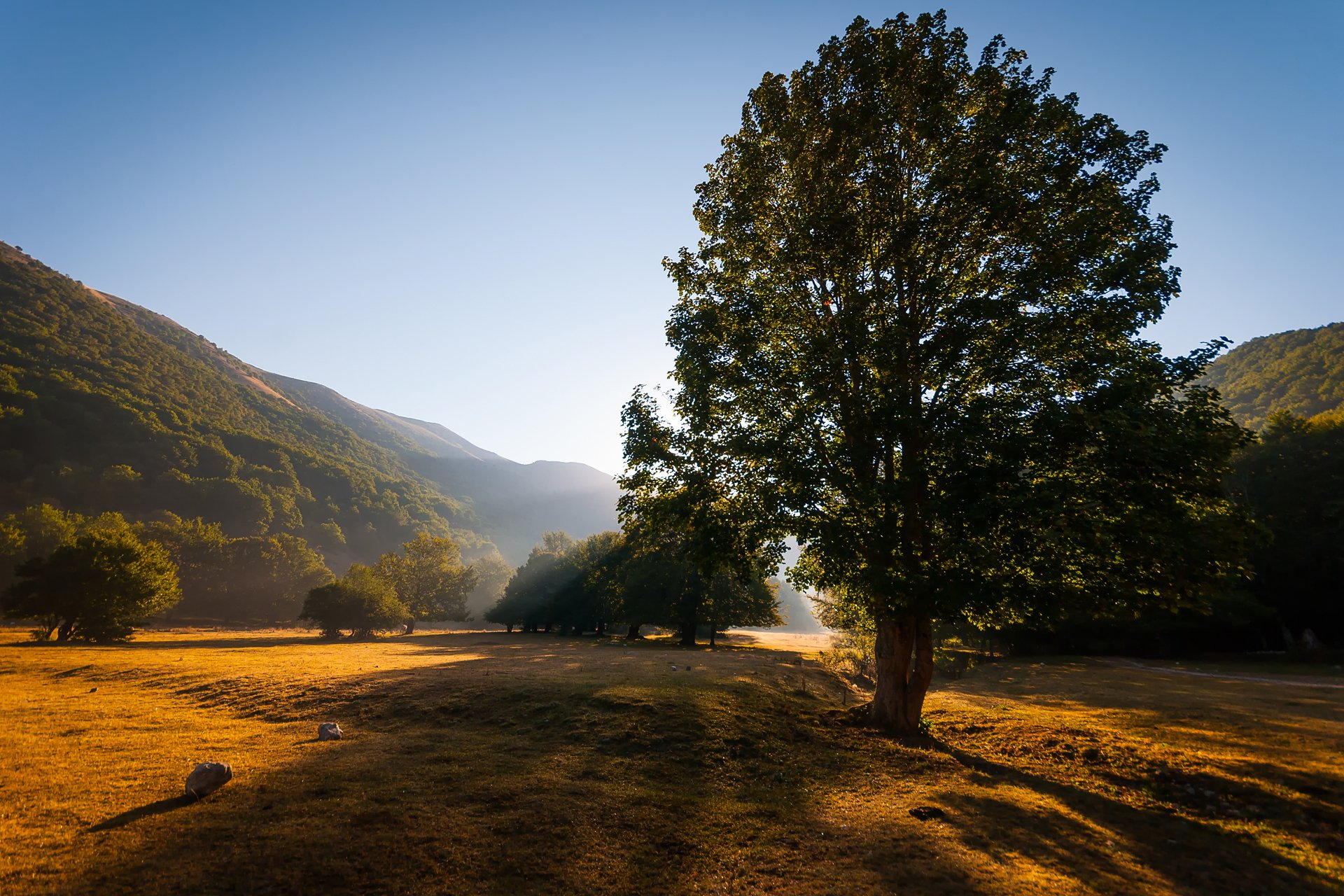 naturaleza verano montañas cielo luz árbol