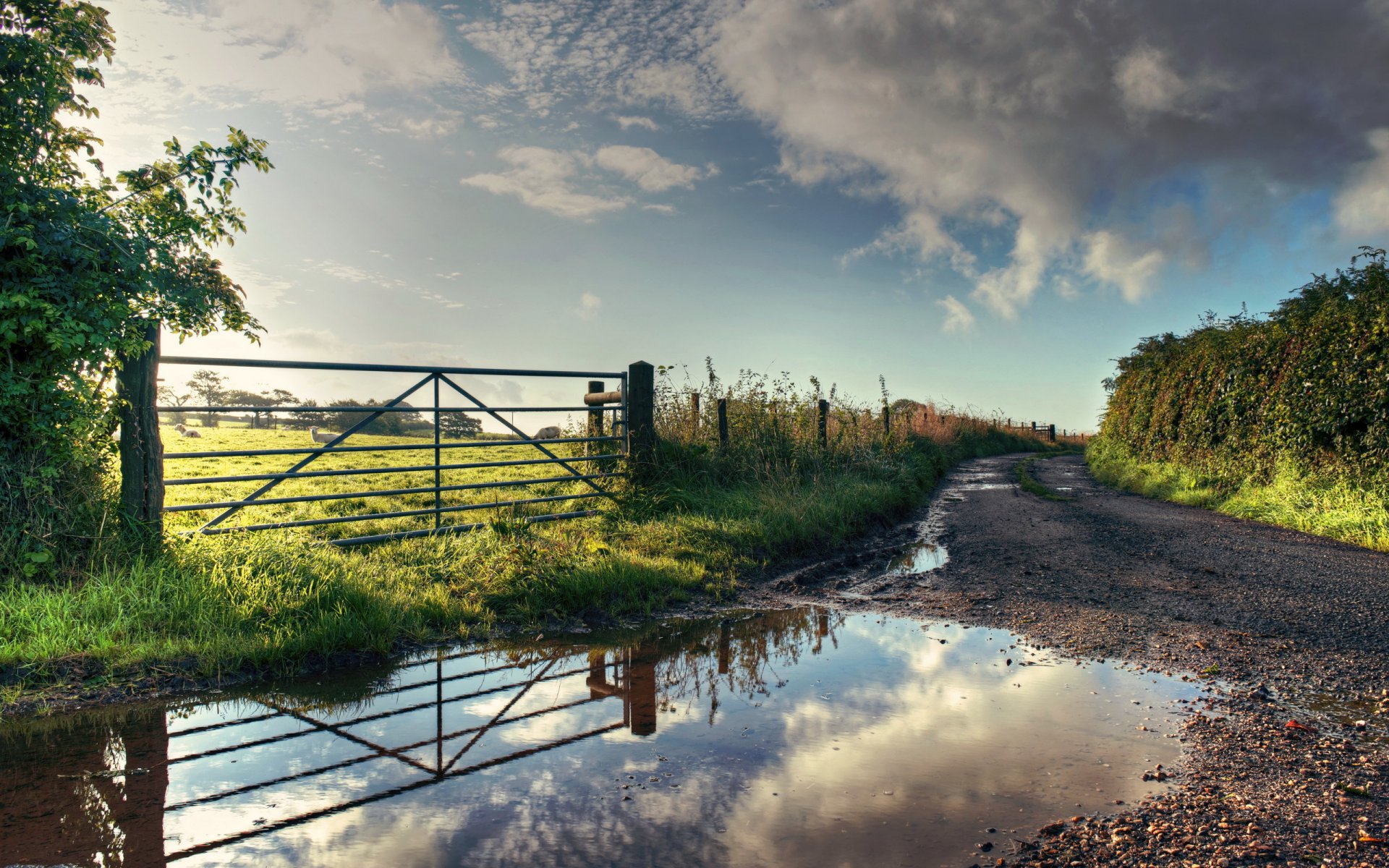 the field summer fence road a pool nature