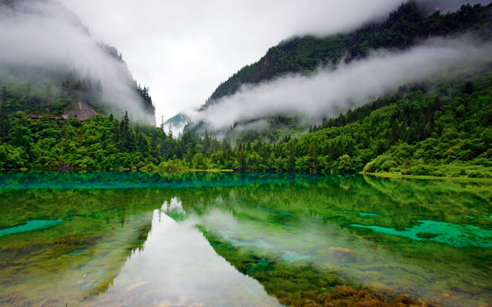 bosque montañas colinas vegetación estanque lago superficie superficie espejo reflexión nubes