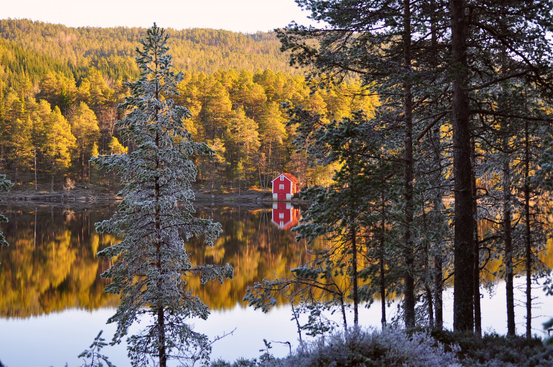 norwegia jesień las drzewa igły domek brzeg rzeka odbicie