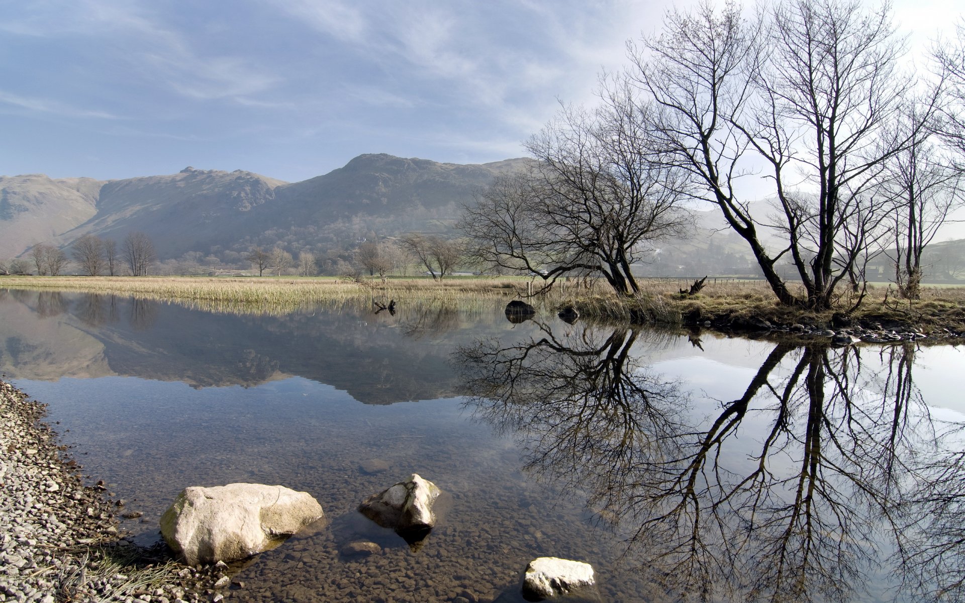 primavera lago naturaleza