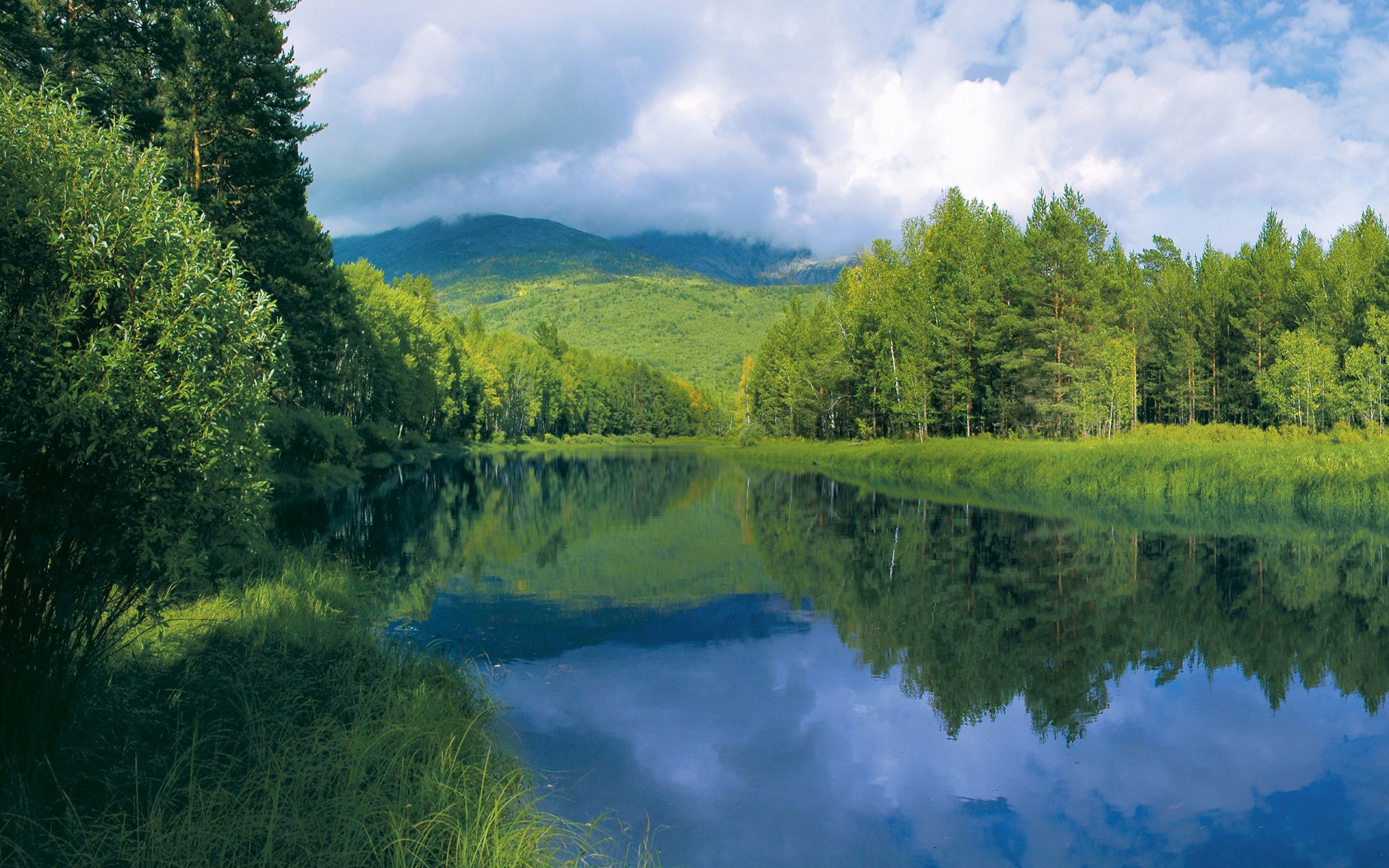 forest tree summer beach grass river water surface of hills sky clouds reflection