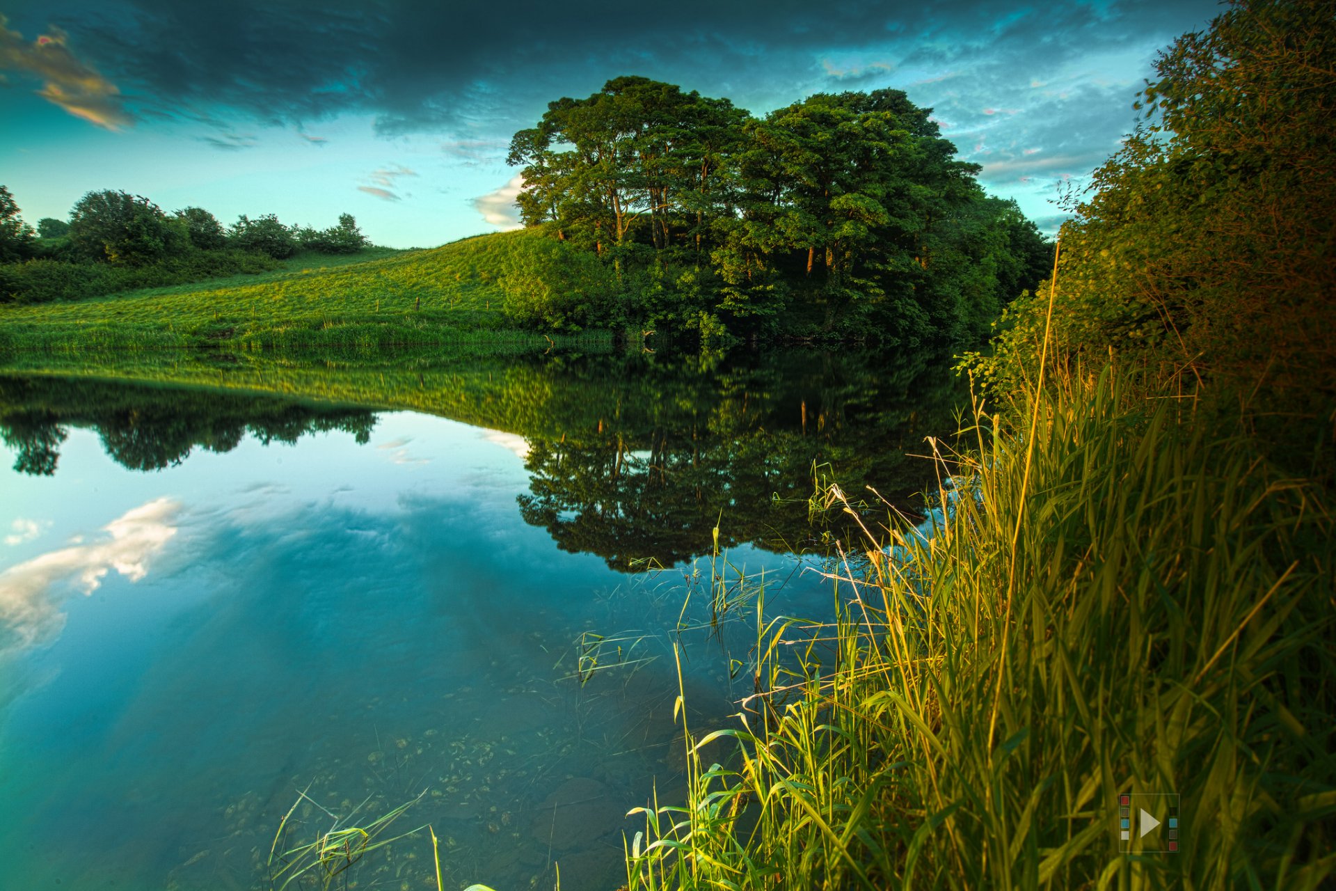 nature summer river