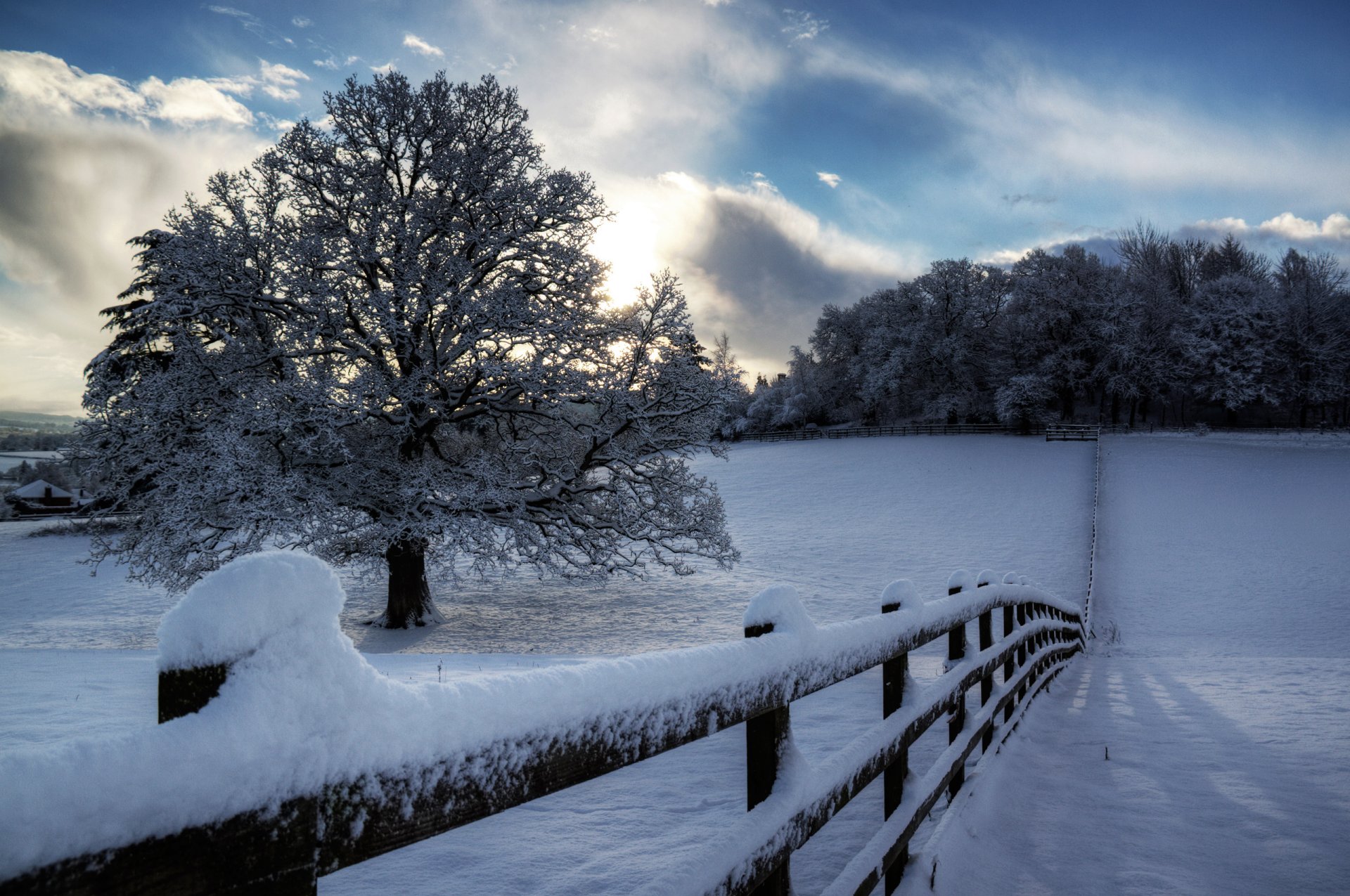 nature hiver clôture neige arbre arbres ciel nuages