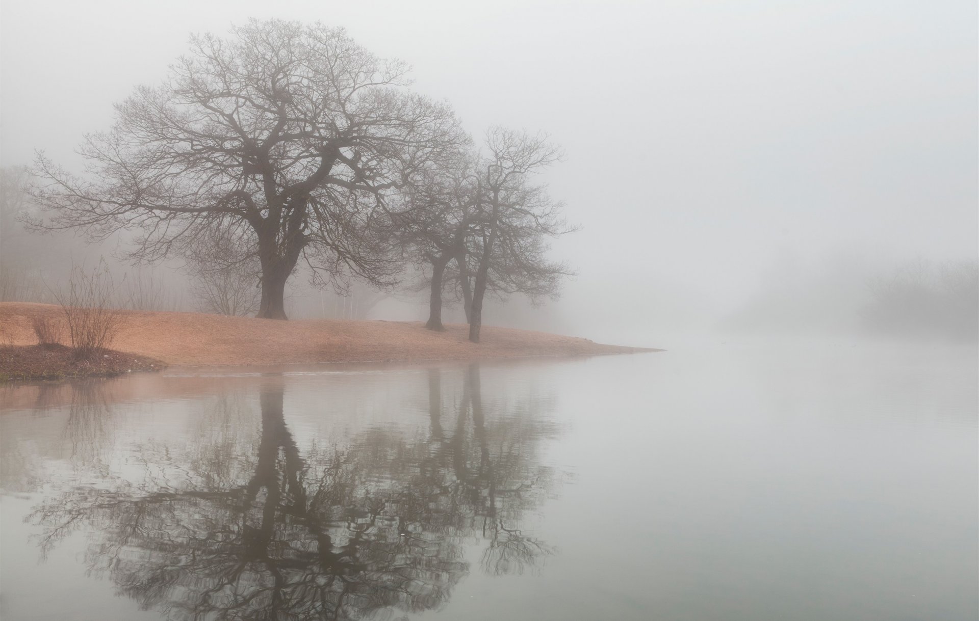 nebel bäume fluss see wasser reflexion ufer