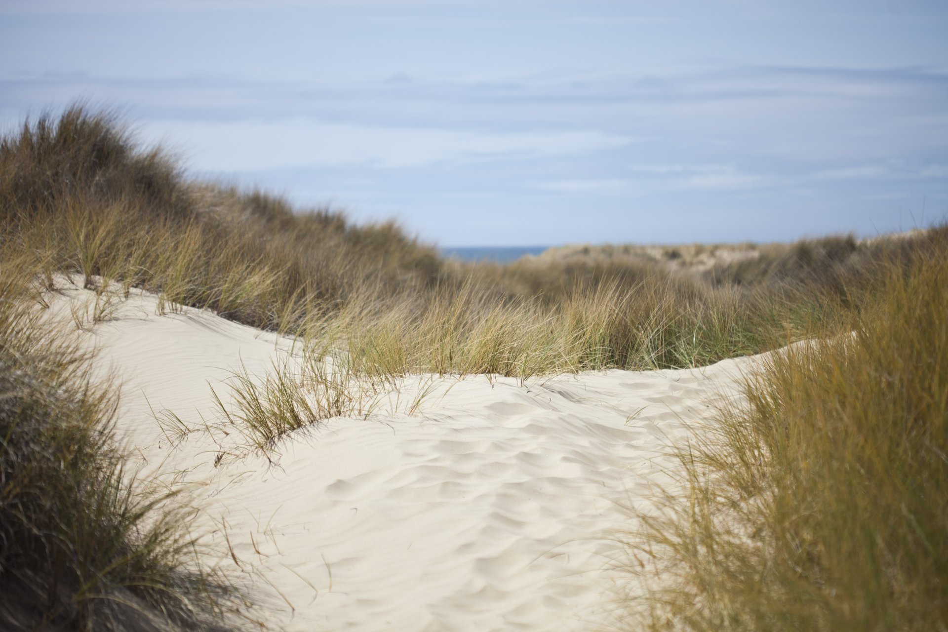 nature dunes sable herbe mer ciel