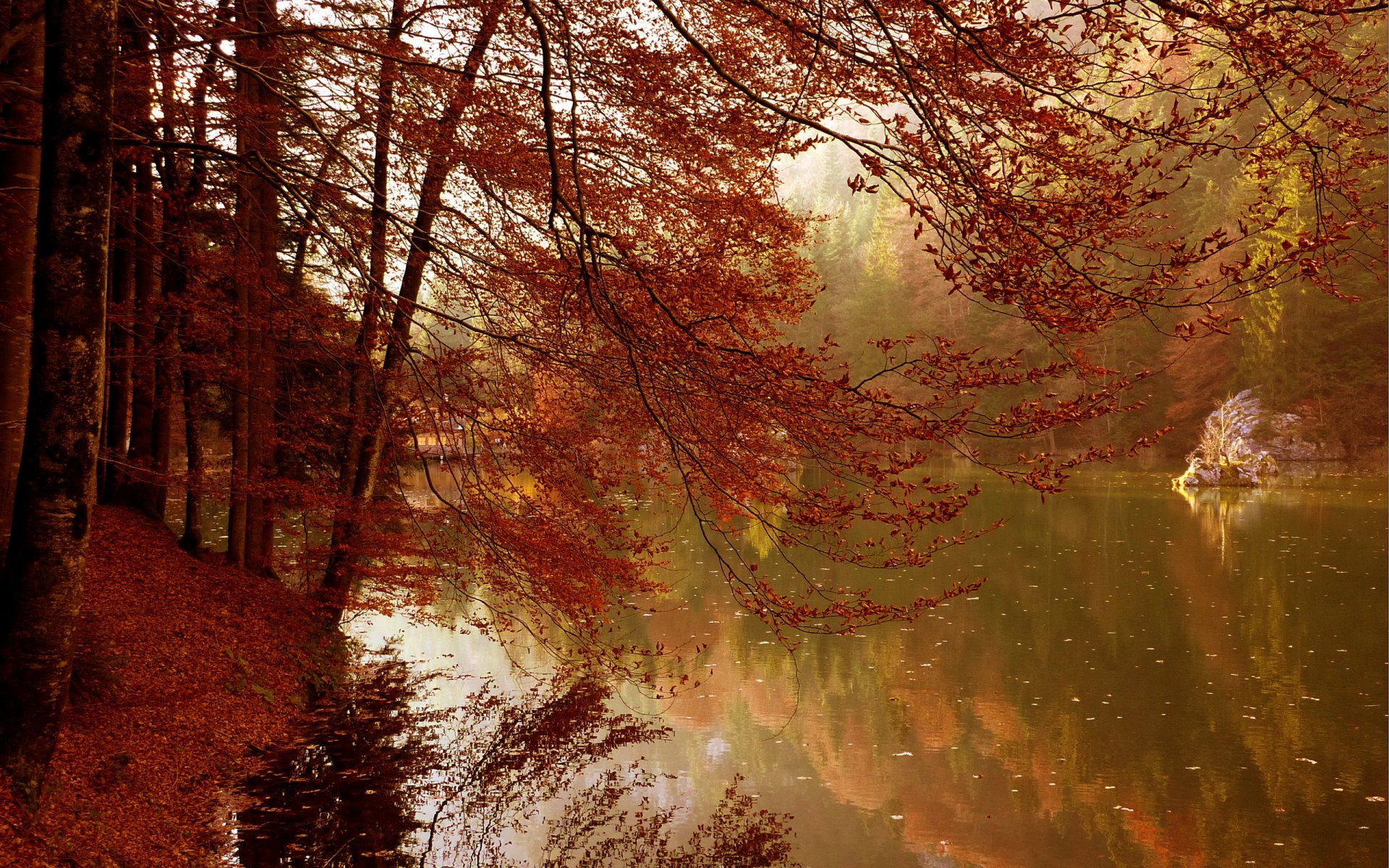 lago autunno alberi