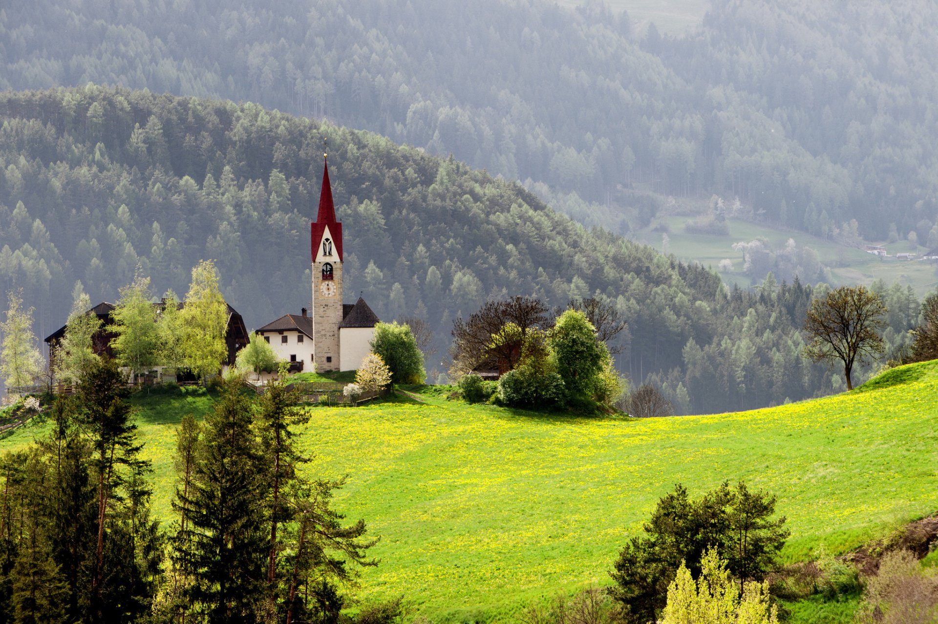 nature forest mountain grass the chapel house spring