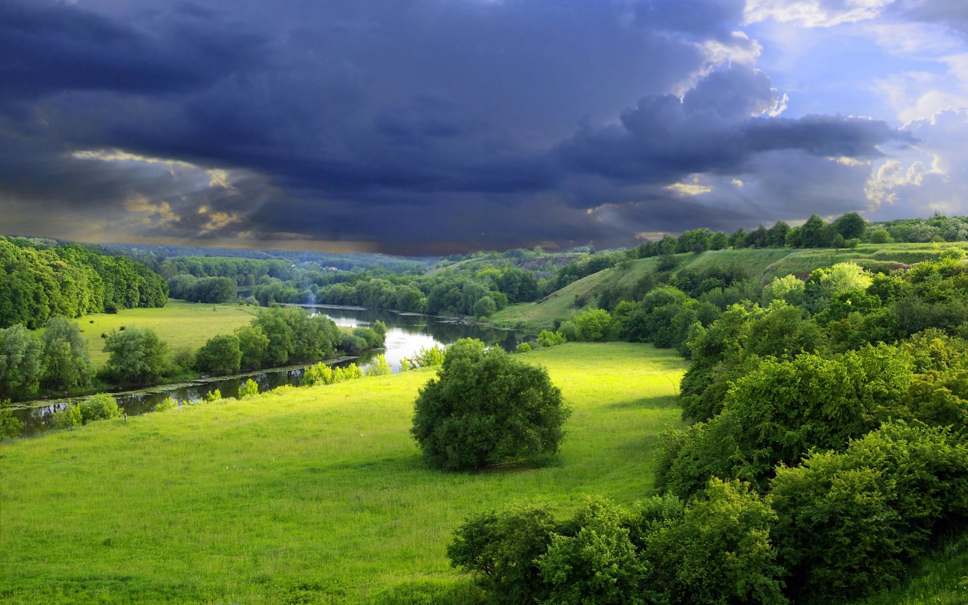 natura rzeka lato zieleń drzewa krzewy