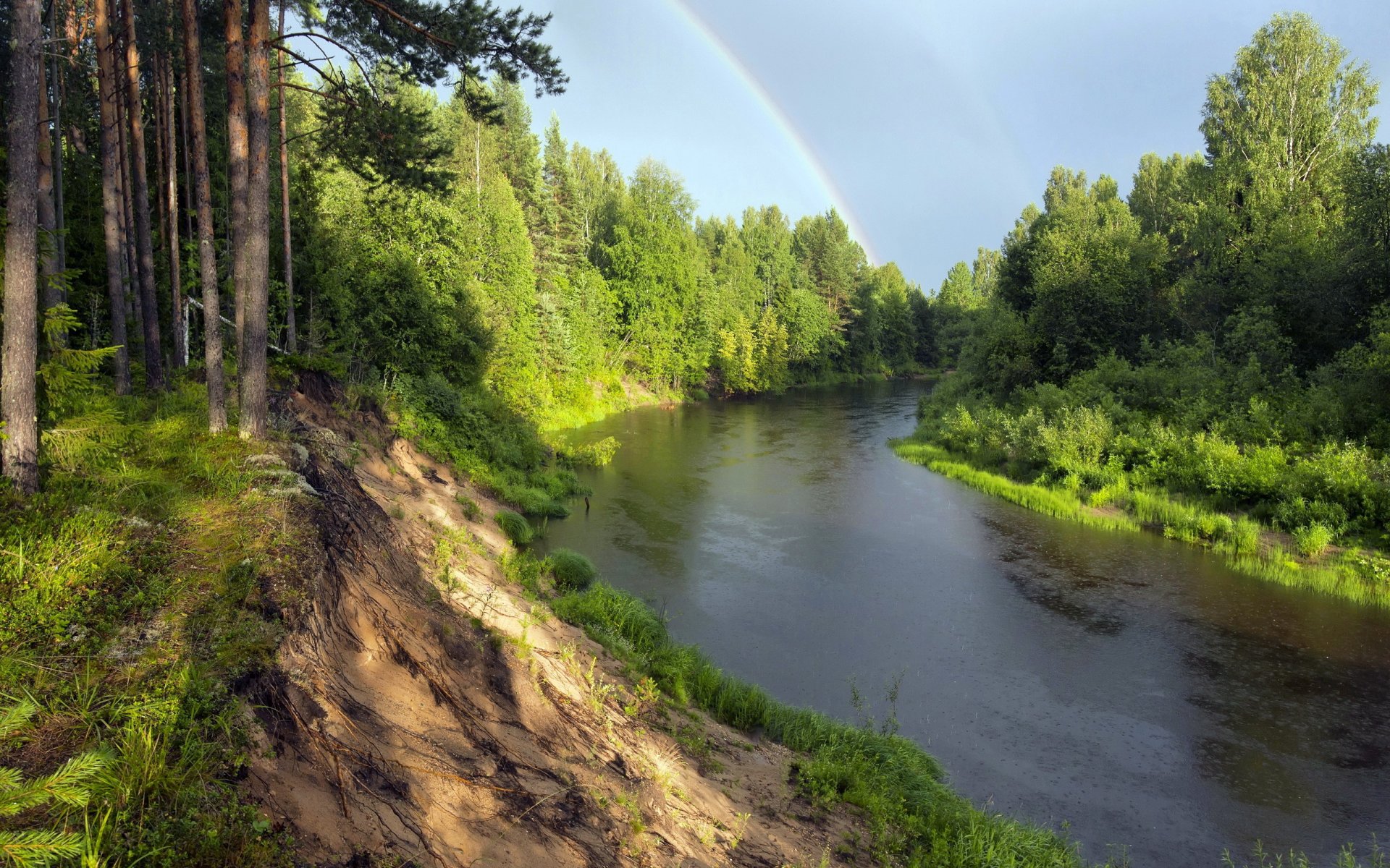 river forest rainbow nature landscape