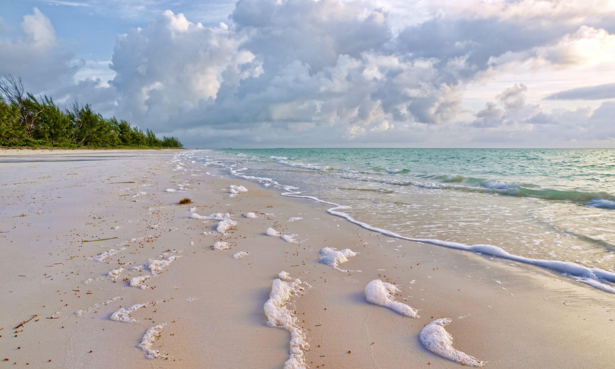 natur meer küste sand schaum brandung grün wolken