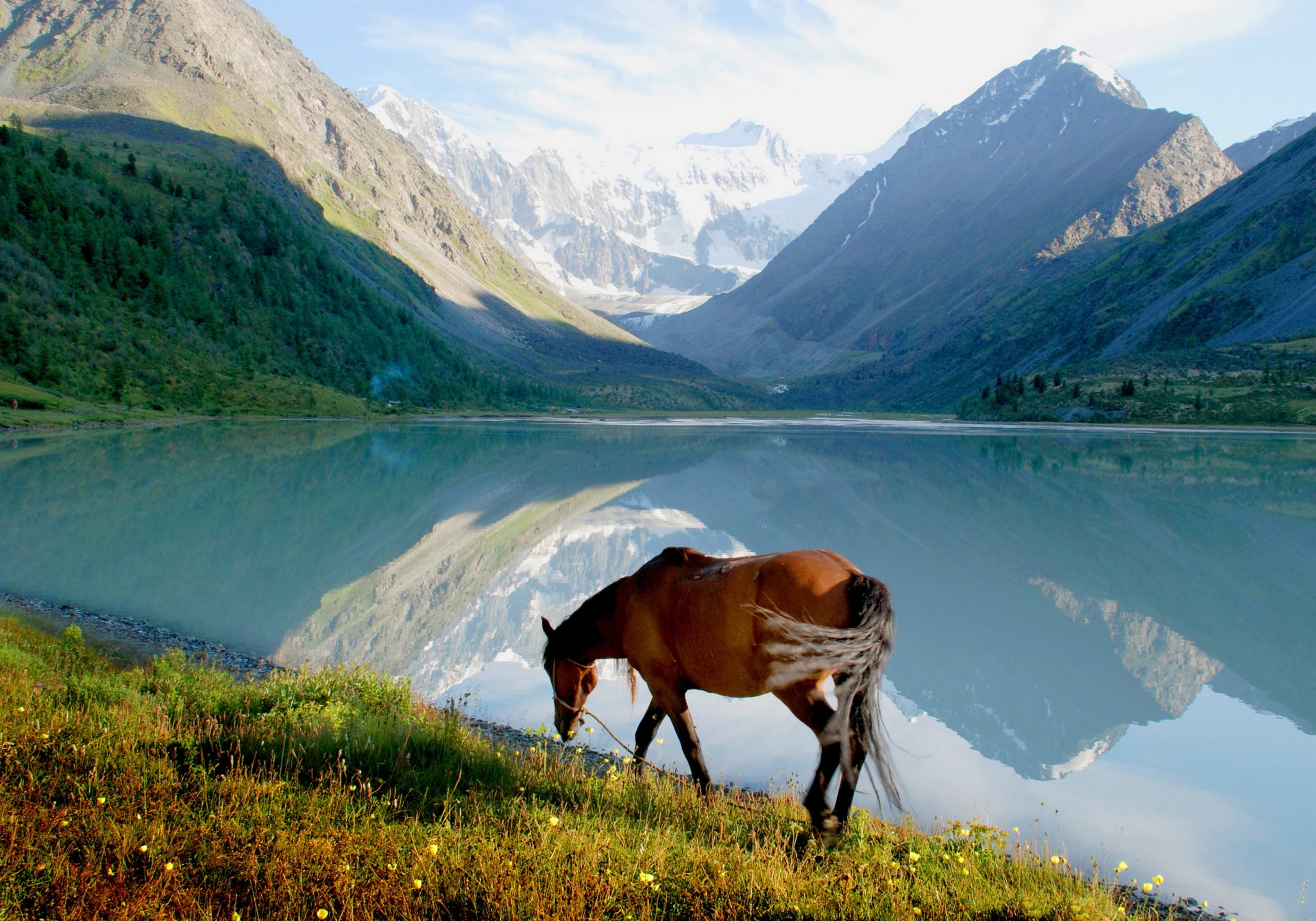 ufer pferd berge