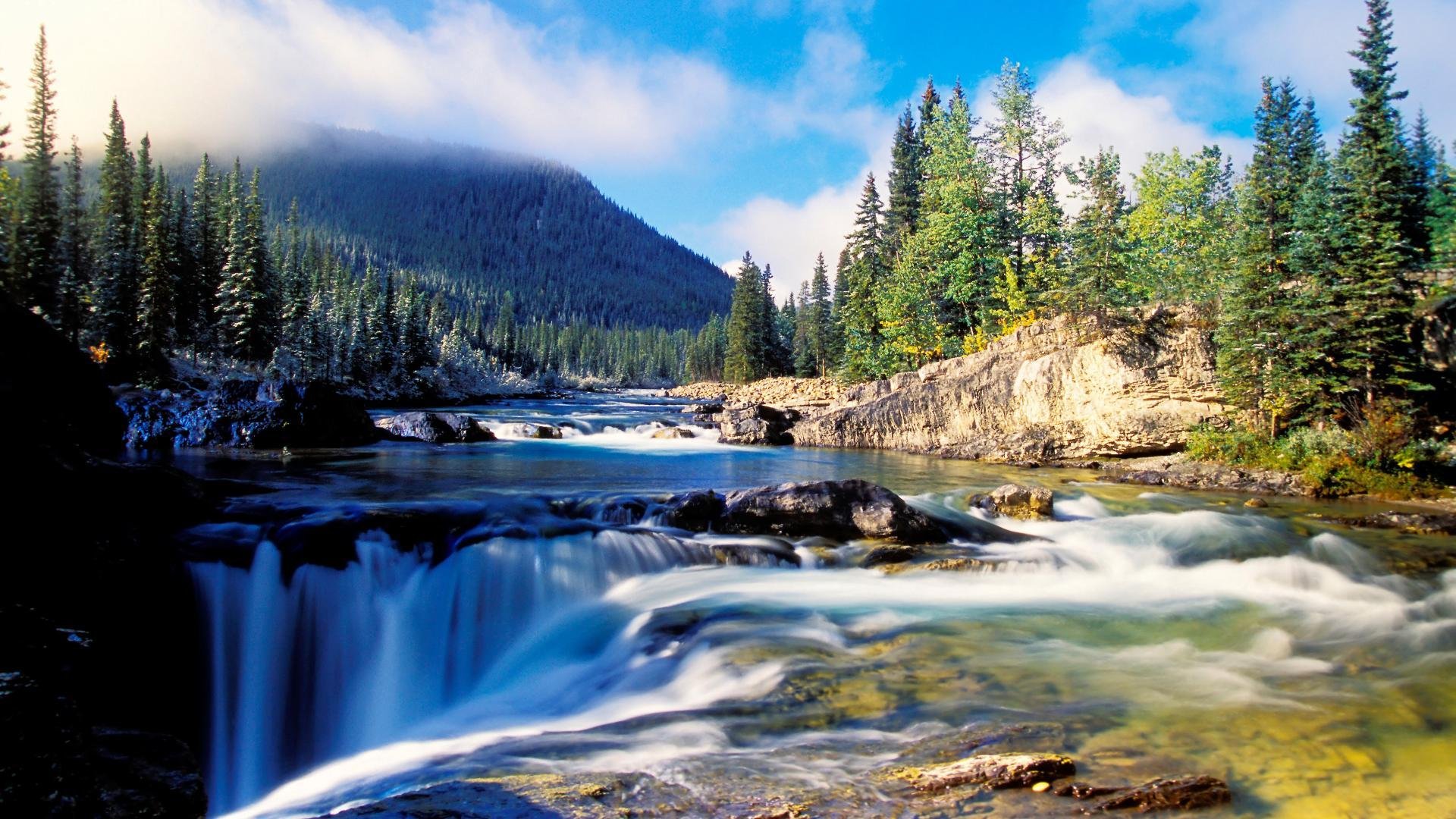 montagnes forêt épais épinettes eau rivière pierres cascade ravin fosse joliment