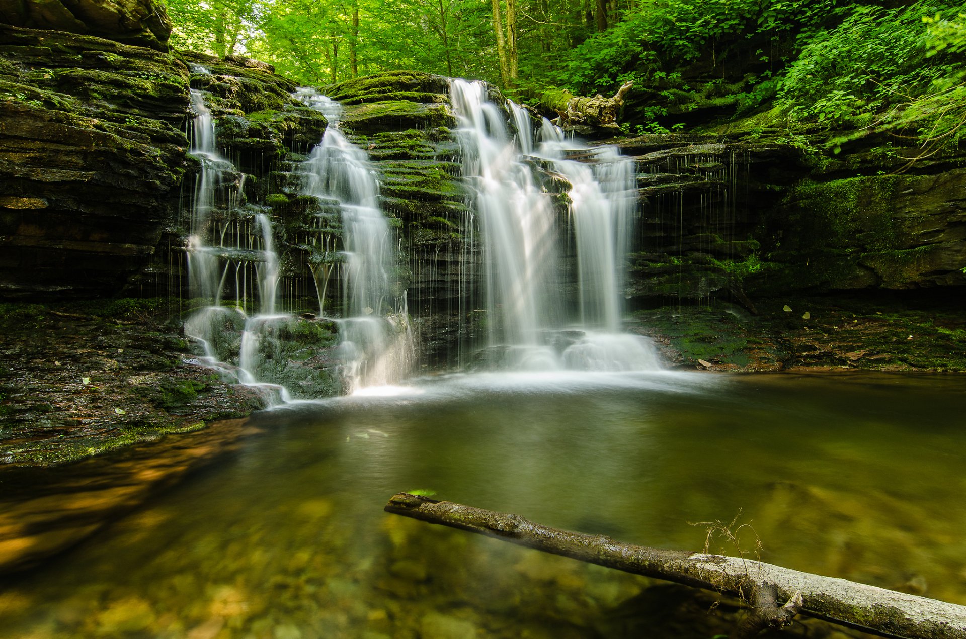 natur wald sommer bach steine