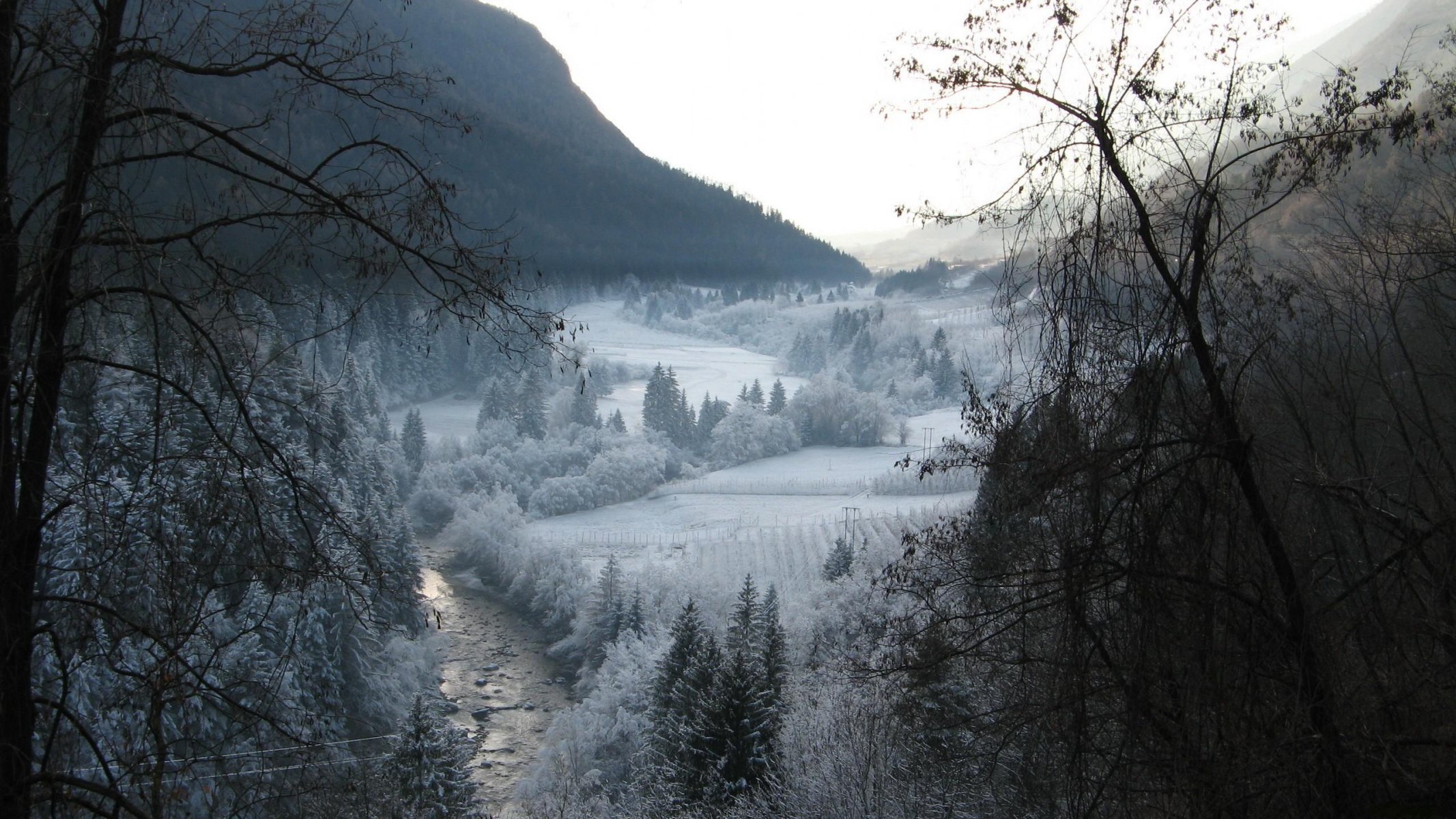 zima śnieg góry drzewa