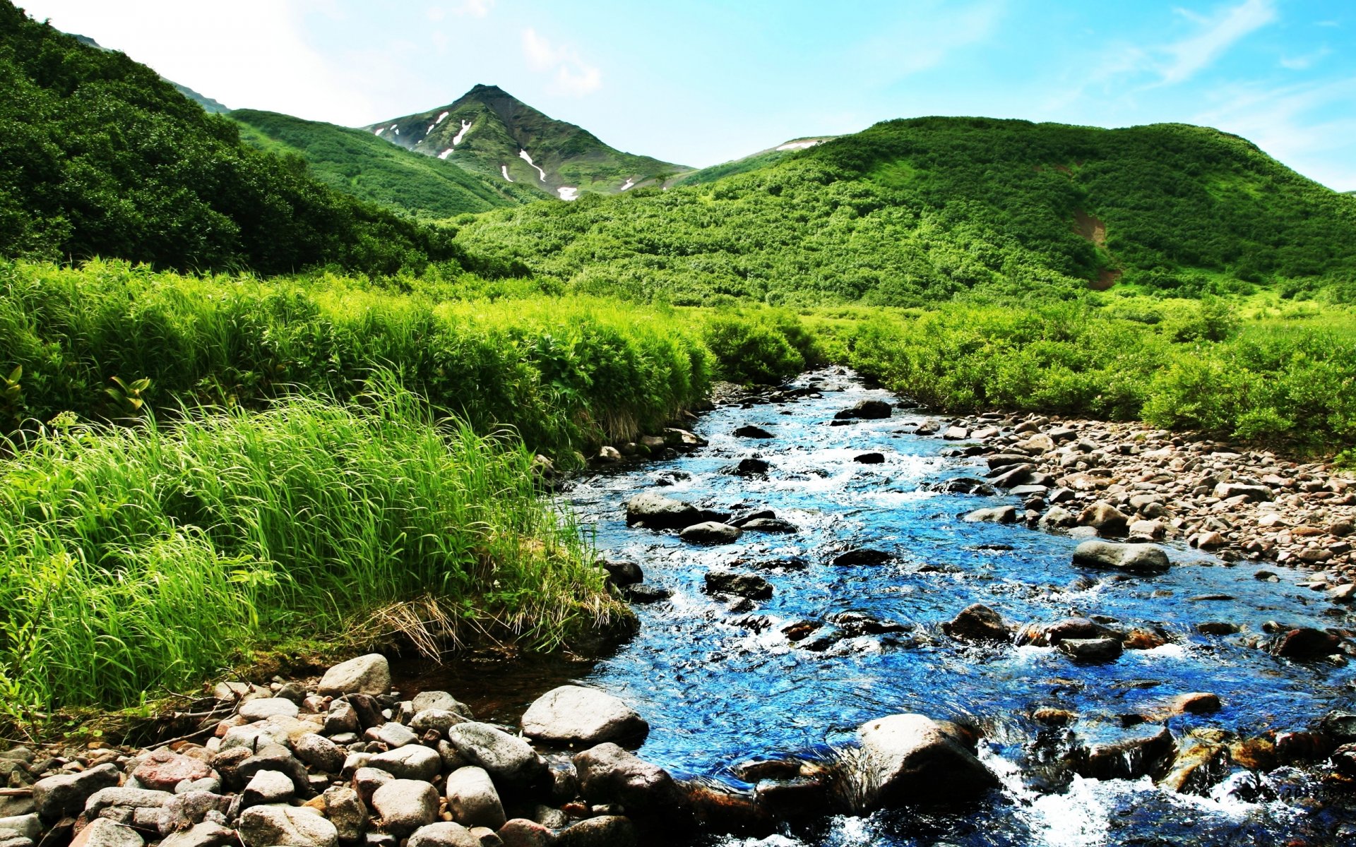 nature montagnes rivière ruisseau été verdure