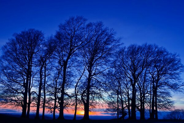 Beautiful photo of the evening in the field