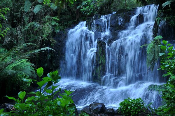 Wasserfall zwischen Grün und Steinen