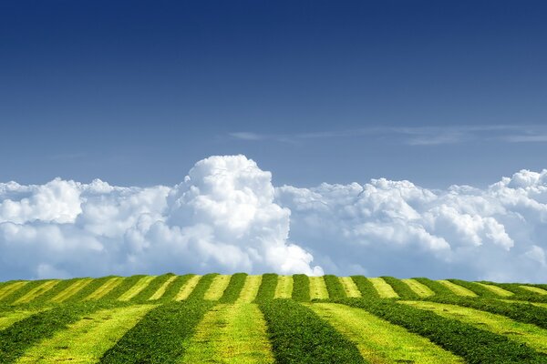 Gestreifte Felder vor dem Hintergrund von kriechenden Wolken