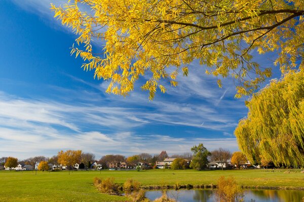 Autumn pond near the houses