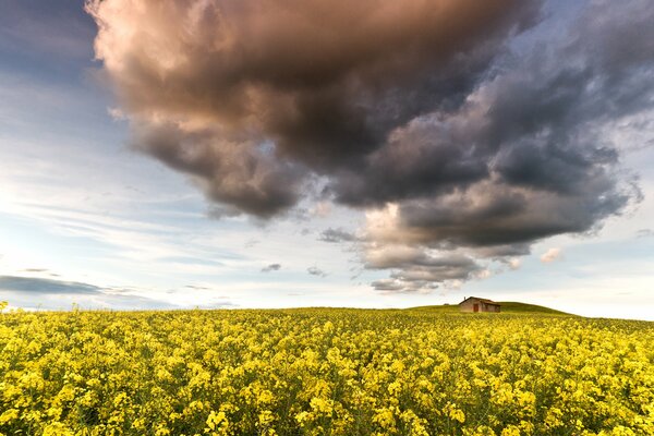 Un nuage de fumée sombre menaçant planant au-dessus d une maison et d un champ avec des fleurs jaunes