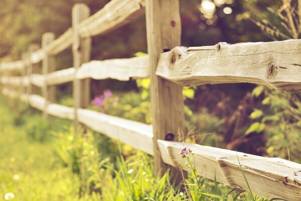 Clôture en bois. Herbe d été verte