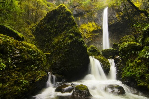 Belle cascade parmi les montagnes