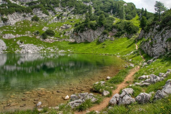 La natura è la bellezza riflessione erbe, pietre, Tropici cervello dritto riposa