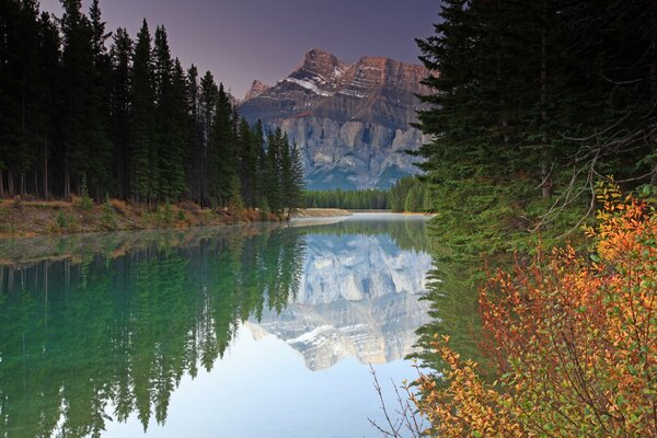 Gorgeous green forest, river and mountains