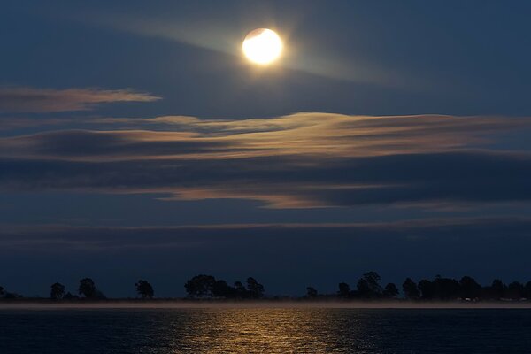 Riflessione della Luna nella laguna notturna