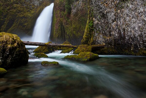 Schneller Fluss vom Wasserfall. Felsen im Wald