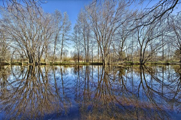 The reflection of the forest is very beautiful when there are lakes below