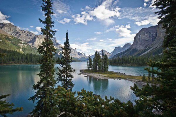 Conifères sur fond de lac, montagnes et nuages