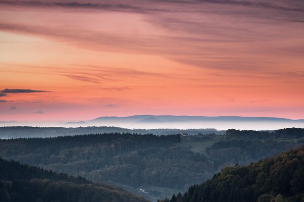 Tramonto arancione sullo sfondo della foresta